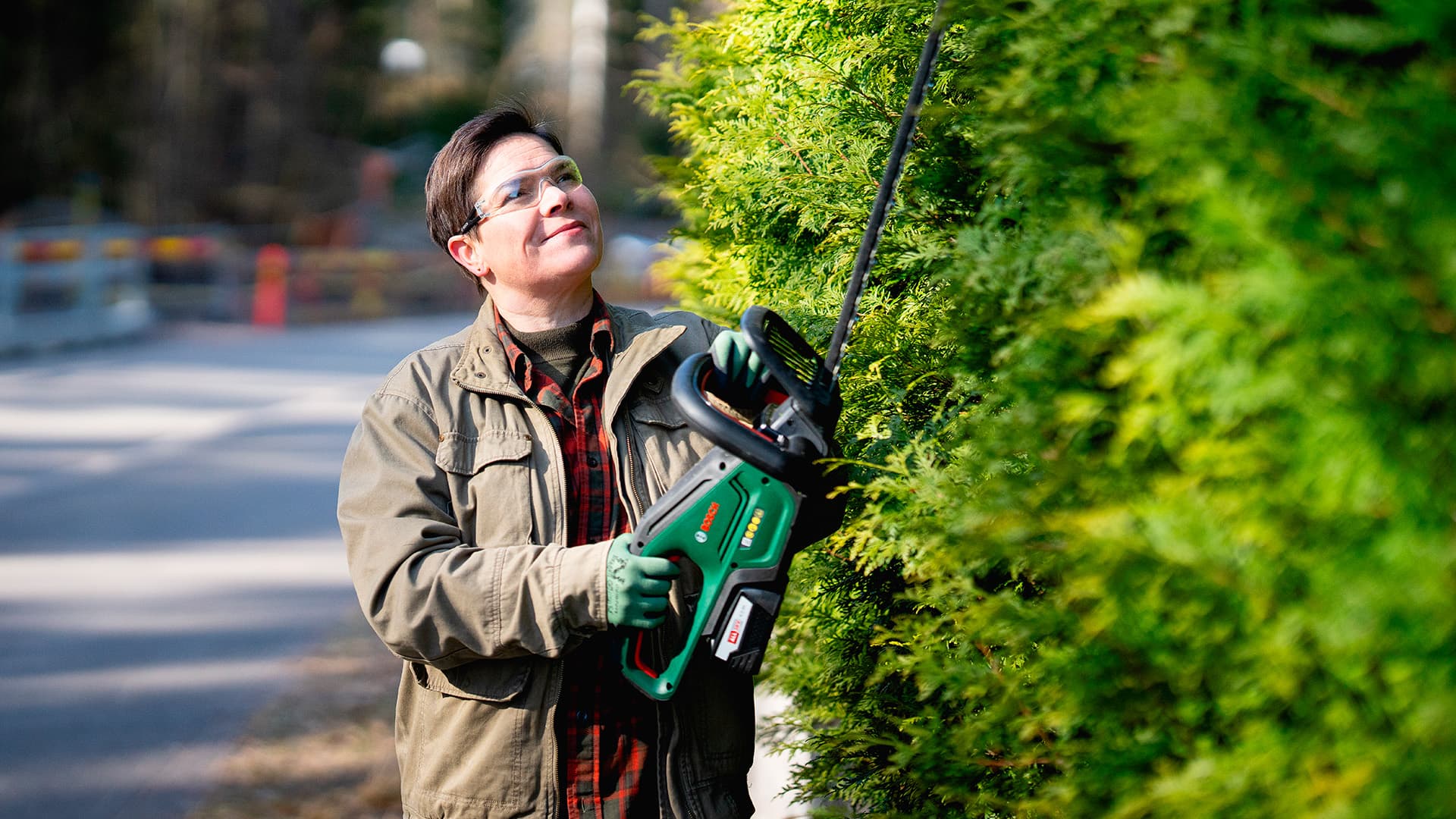 Vinkit pihan puiden ja pensaiden leikkuuseen: tuija-aidan leikkaaminen oikein