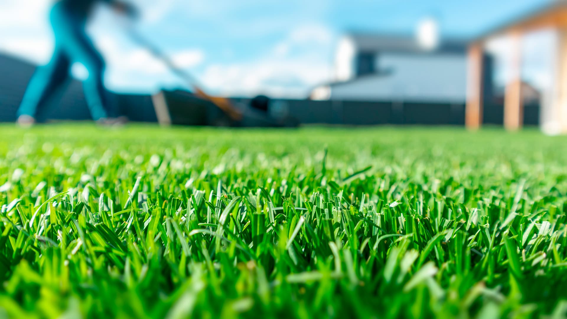 Näin hoidat nurmikkosi oikein: Nurmikon leikkaus