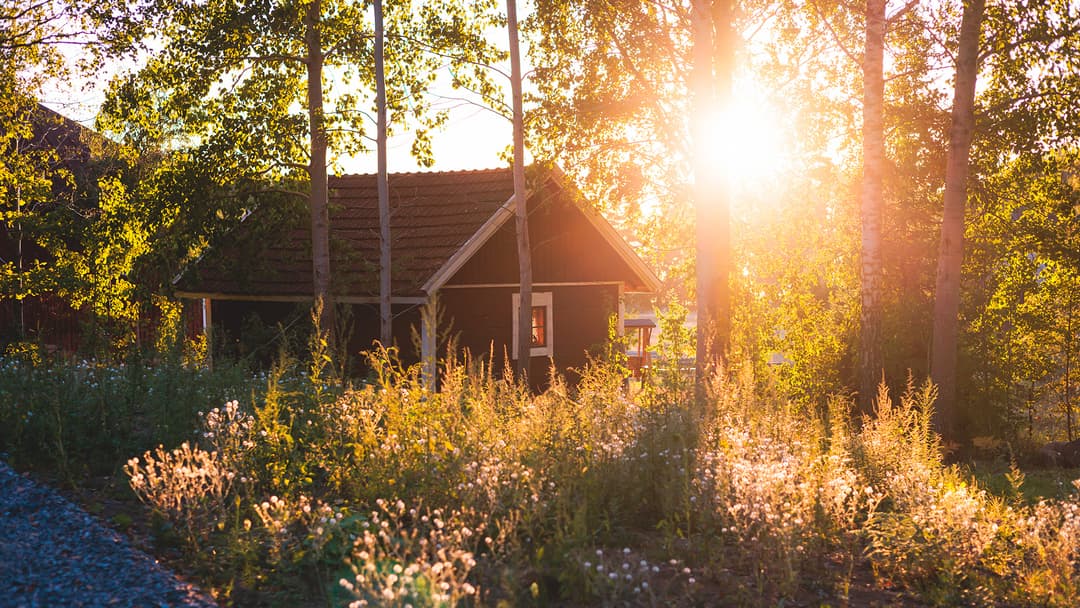 kesäinen mökkimaisema aamu usvassa ja aurinko nousee