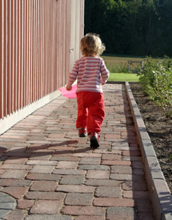 20085_10794.jpg