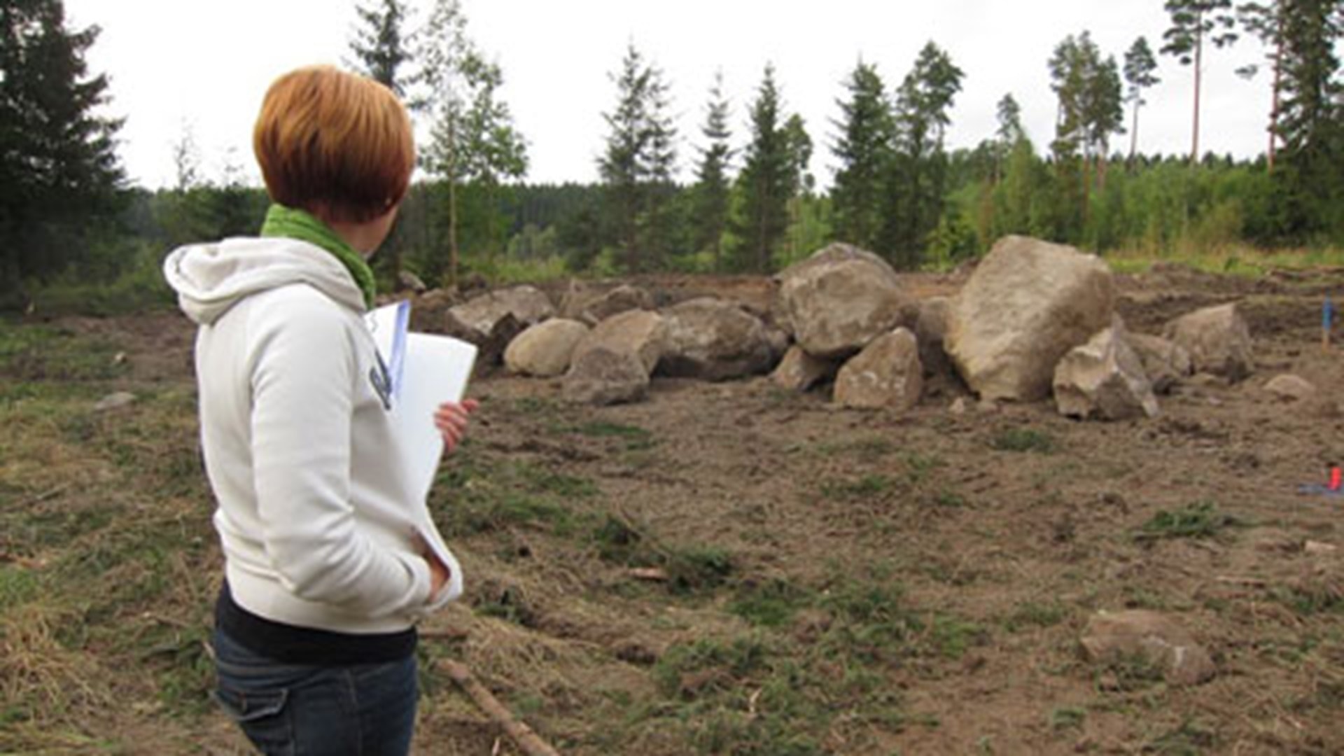 20129_32079.jpg
