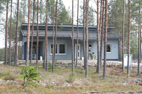 20146_40006.jpg
