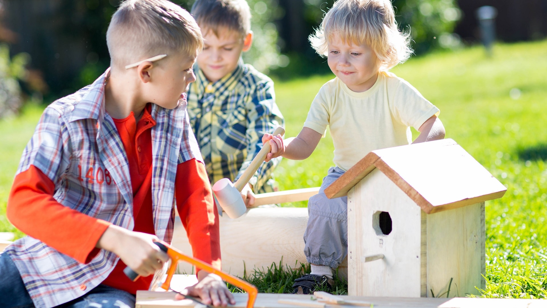 linnunpöntön rakennusta