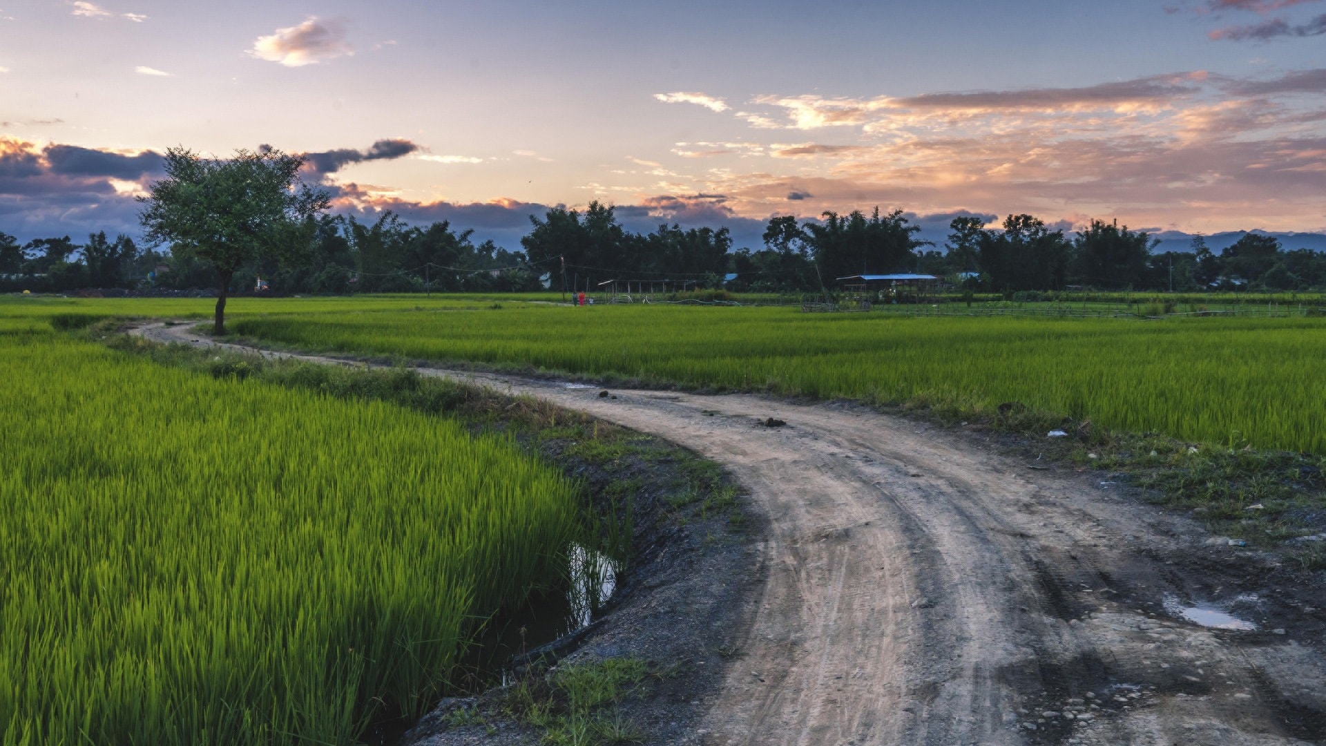 road-3897509_1920