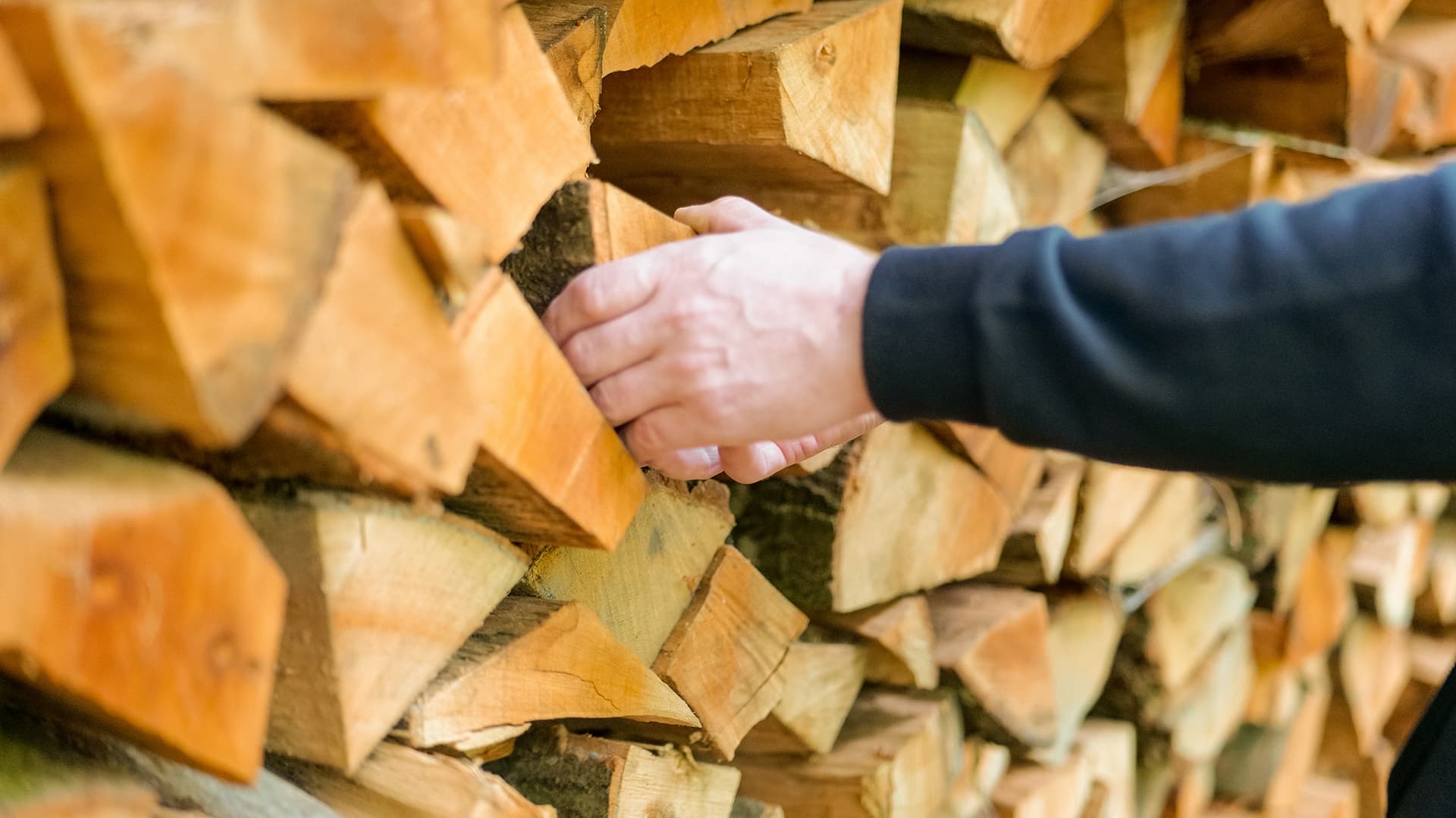 Helppotekoinen halkoteline puunhakuun