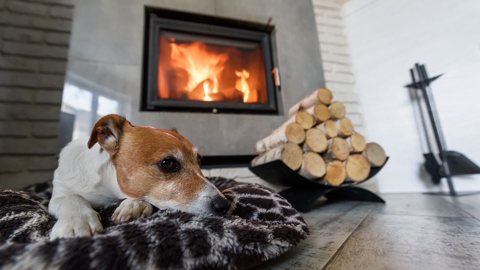 Takkaa valitsemassa?