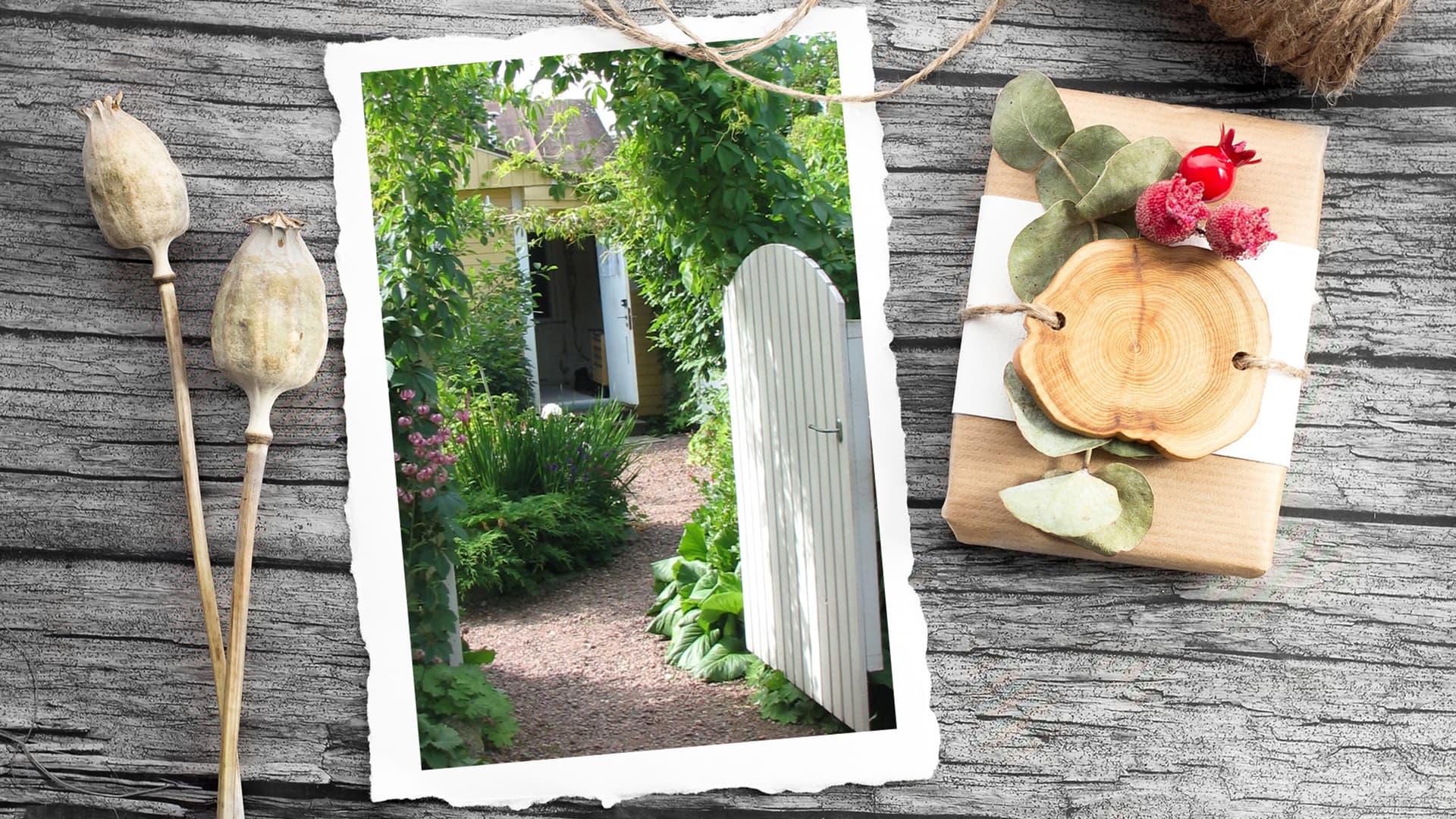 Portti pihalle ja puutarhaan