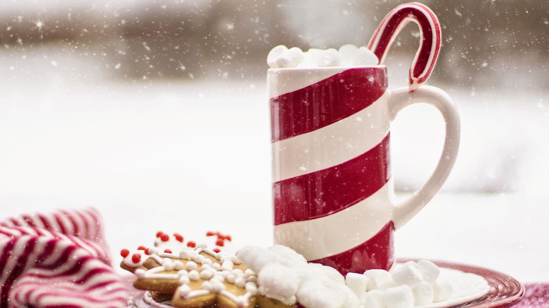 punavalkoraidallinen muki kaakaota ohessa koristeltu pipari ja piparminttutanko