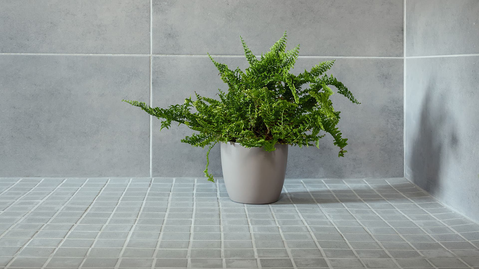 Osaatko saumata laatoituksen oikein?