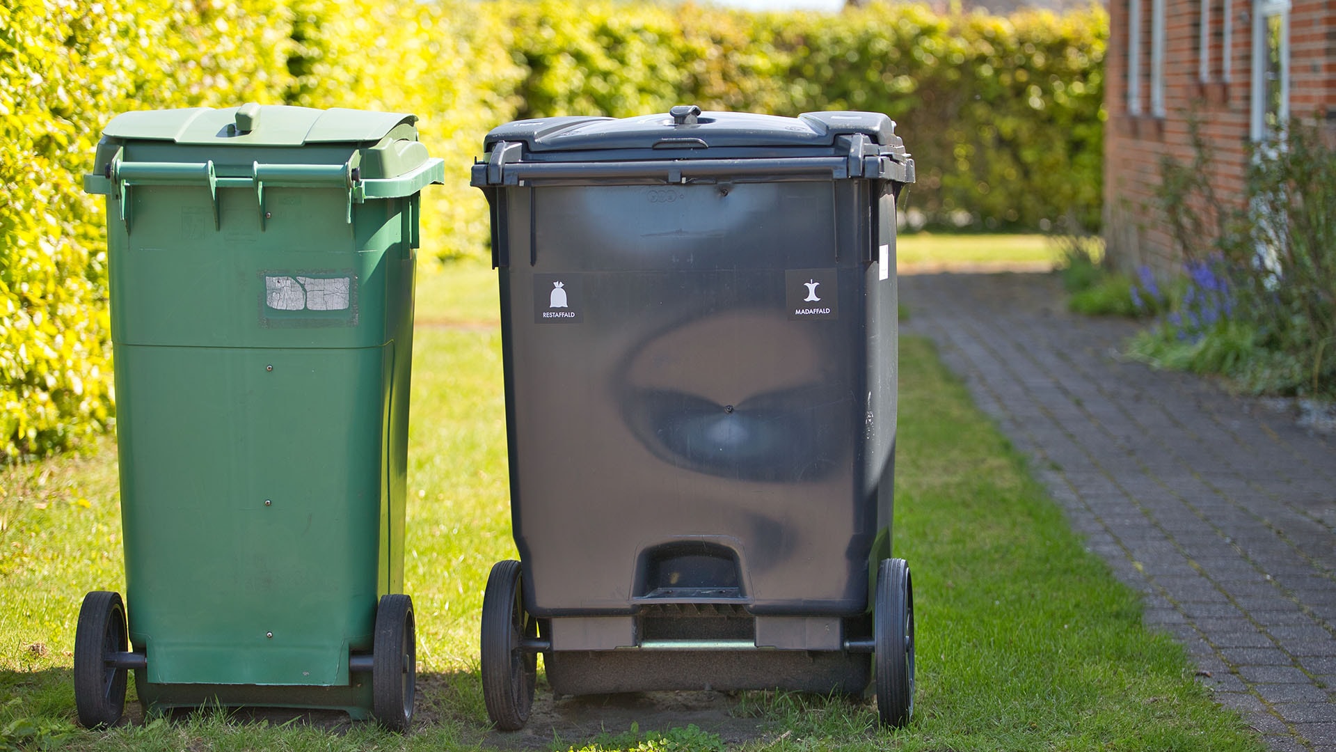 1920 trash-can-waiting-2023-11-27-04-57-24-utc