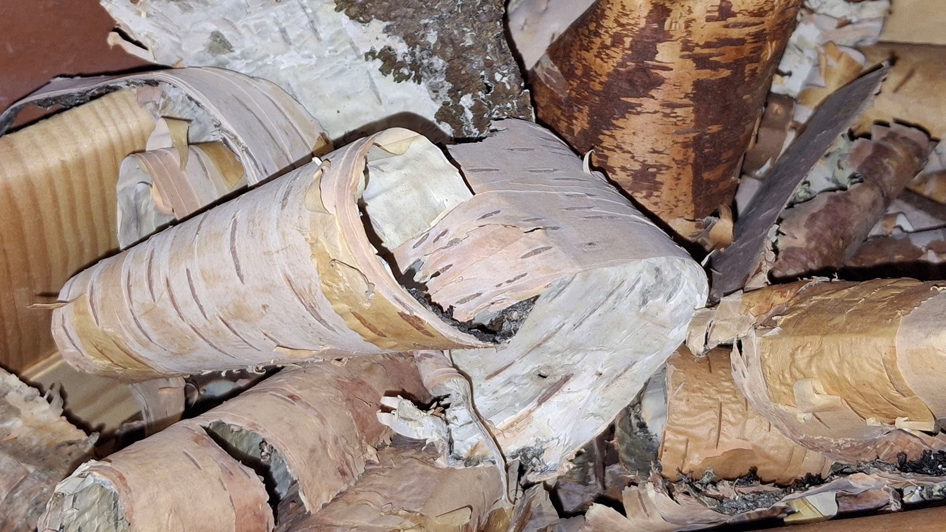 <p data-block-key="wva7e">Koivun tuohi on hyvä sytyke tulipesään.</p>