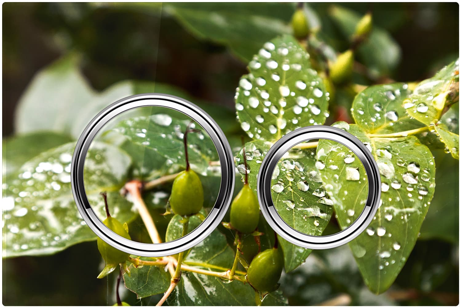 Oma valokuva tai pintamateriaali kruunaa yksilöllisen wc:n huuhtelupainikkeen