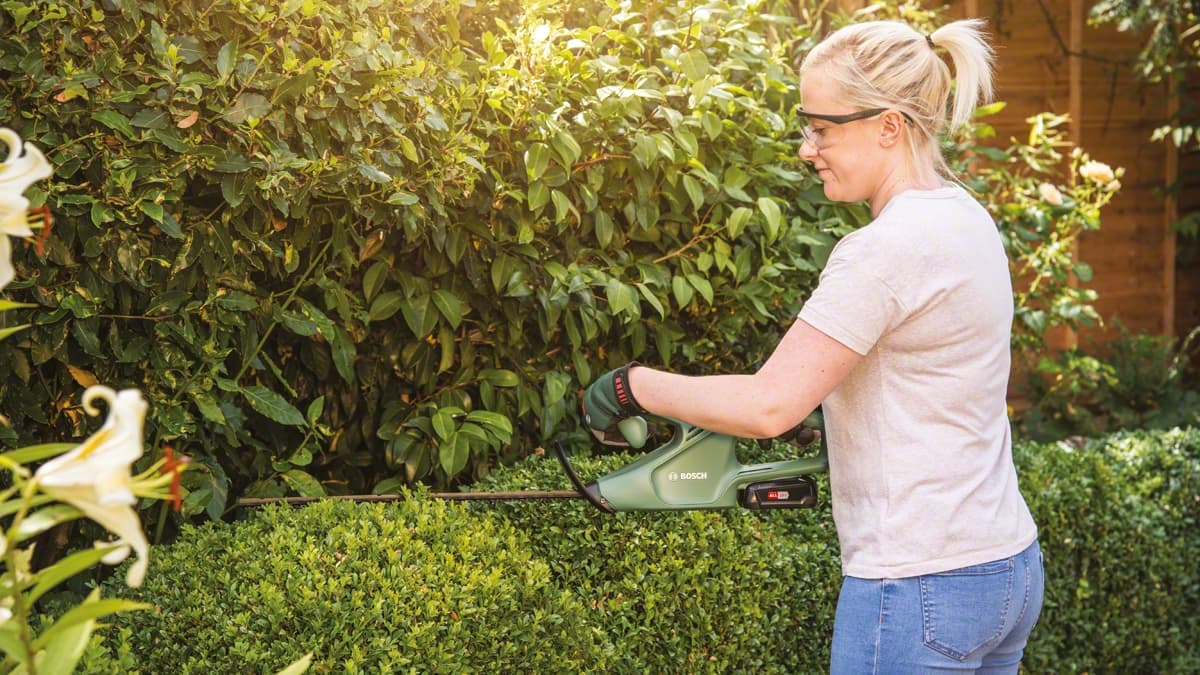Oikea pensasleikkuri helpottaa hoitoa ja pidentää pensaan ikää