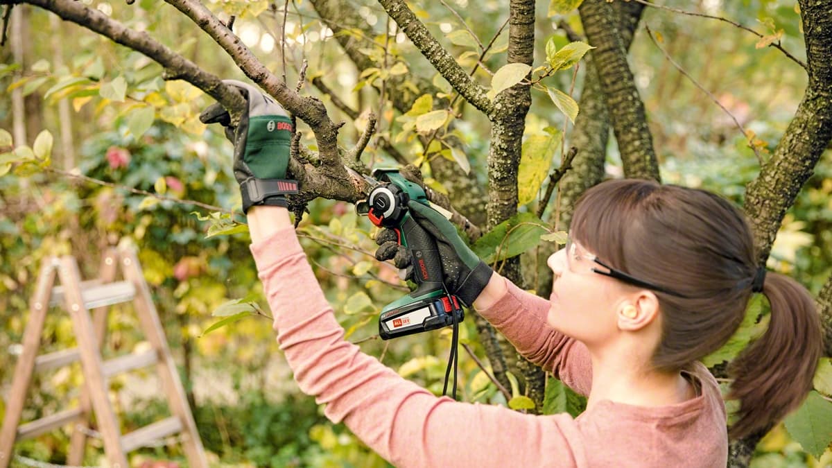 Täysin uusi sahatyyppi