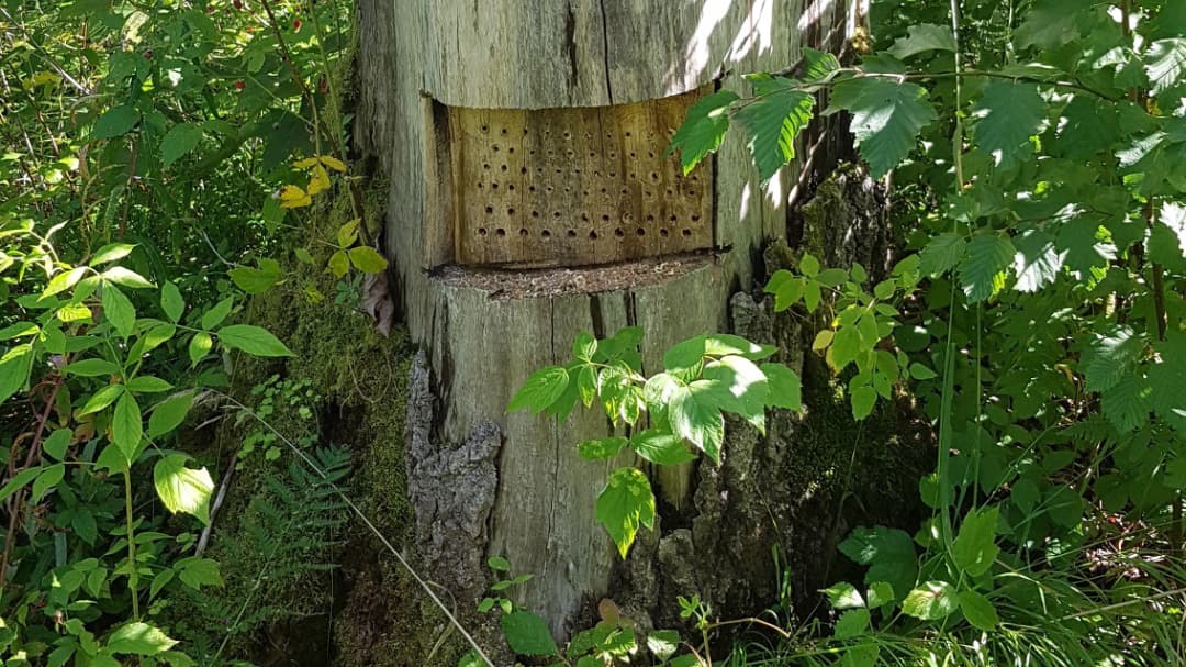 Katso millaisia hyönteishotelleja muilta löytyy ja luo oma hotellisi