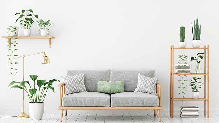 Mikä on hyvä feng shui?