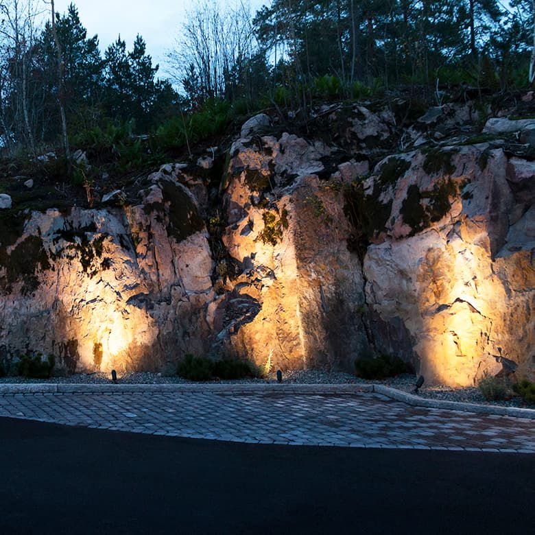 <p data-block-key="zxwez">Spike-maavalaisin</p>