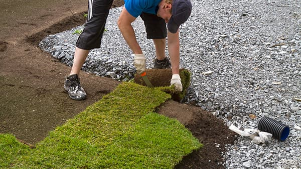 Siirtonurmi voidaan asentaa myös syksyllä!