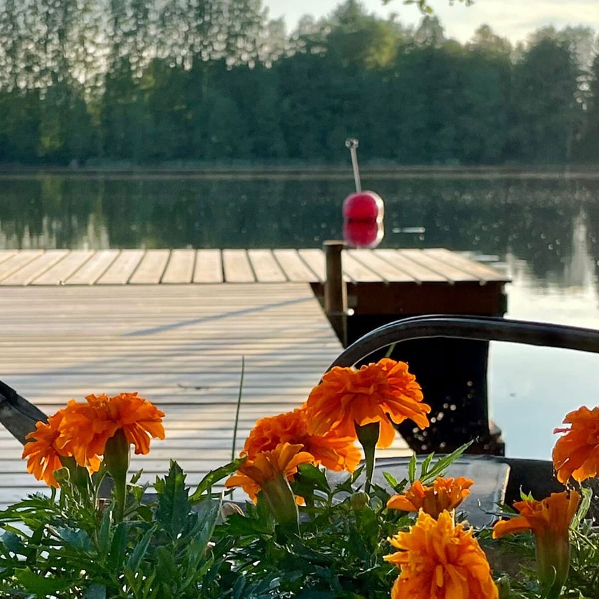 Inora laituri ja samettikukat