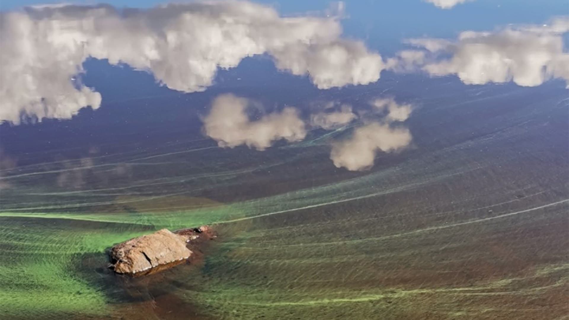 Hellejaksoista huolimatta Pirkanmaan alueella on havaittu aiempaa vähemmän sinilevää