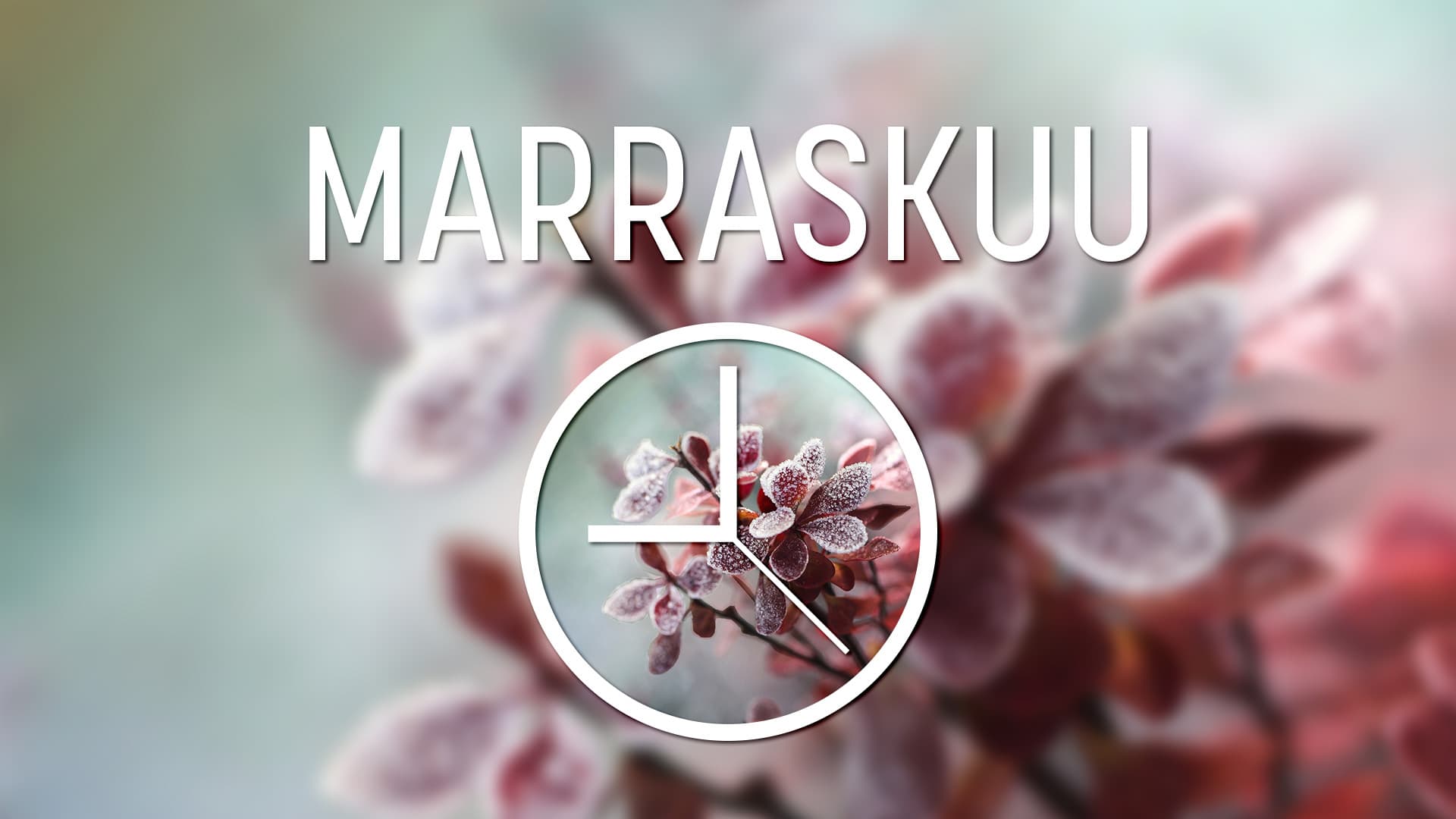 Taloyhtiön vuosikello tikittää: Marraskuu