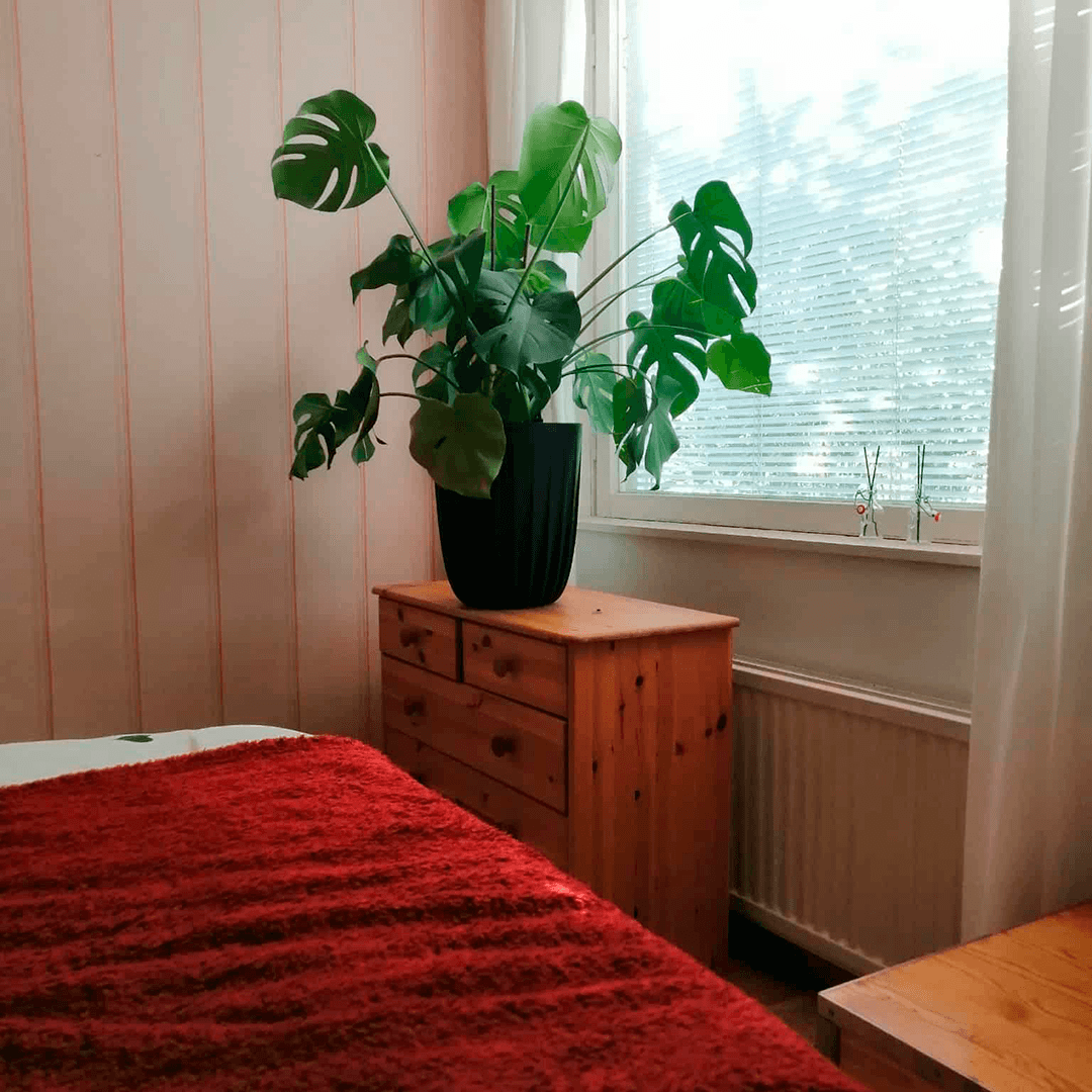 sängynpääty ja ikkuna