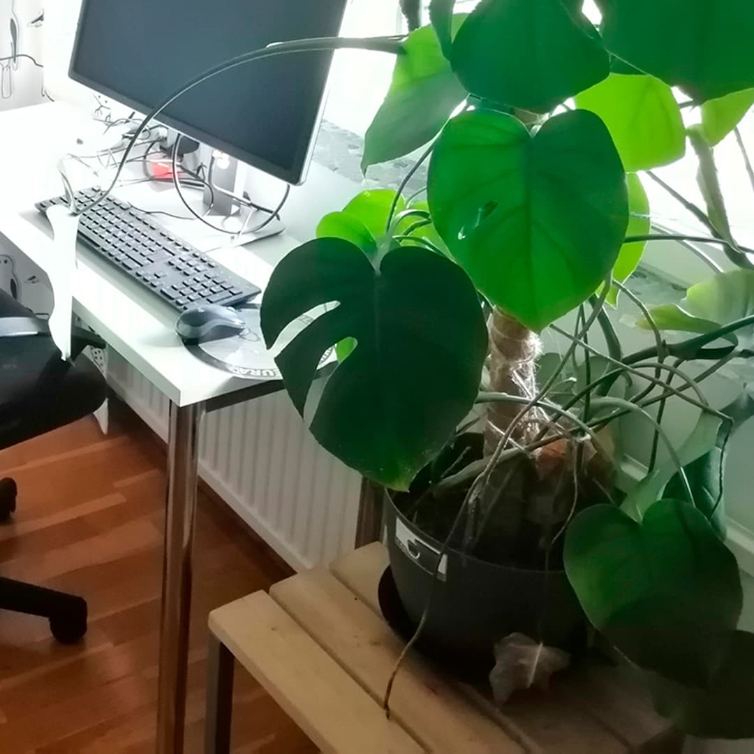 <p data-block-key="h6hn1">Kirpputorilöytö saunanjakkara toimii nyt kukkapöytänä.</p>