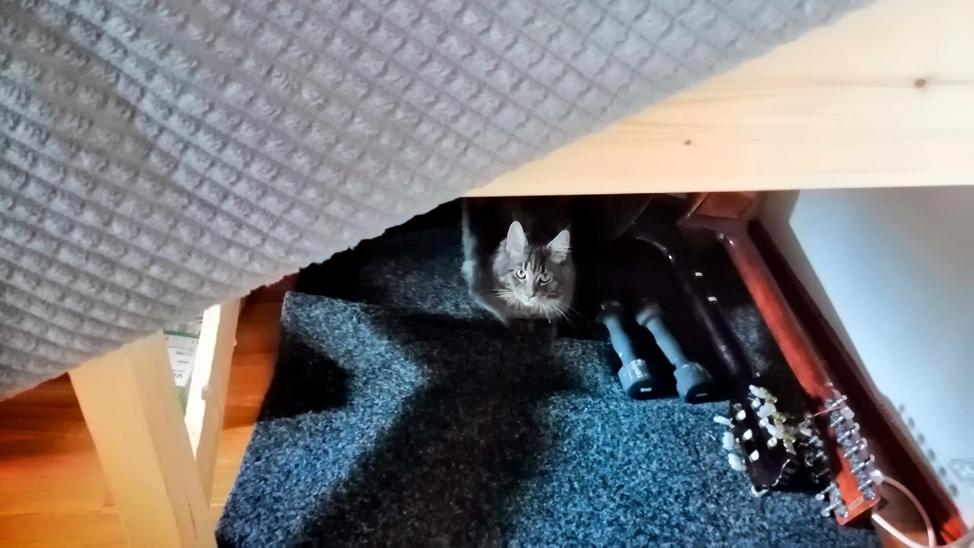 <p data-block-key="ye1ng">Super korkean sängyn alle voi piilottaa melkein mitä vain, esimerkiksi kitarat ja kissan.</p>