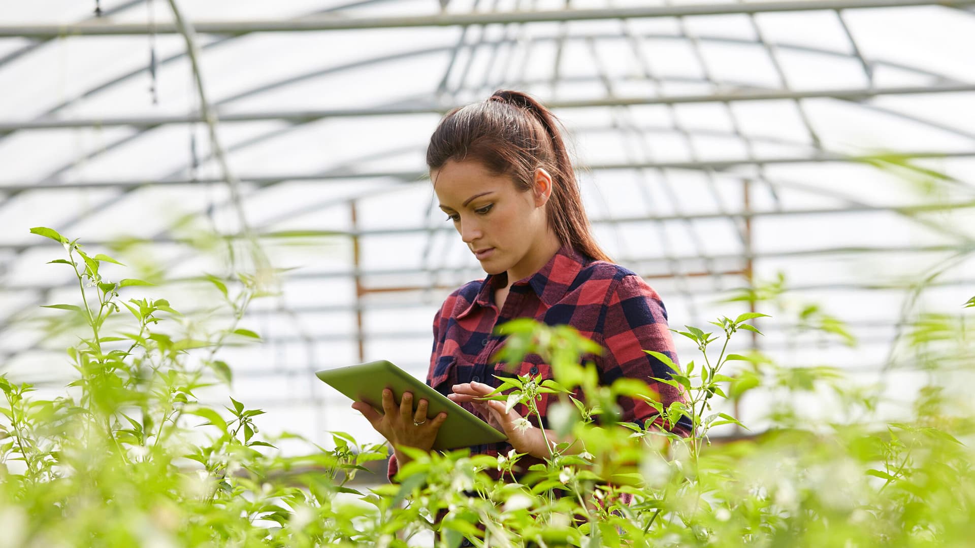 Tervetuloa ABB-webinaareihin