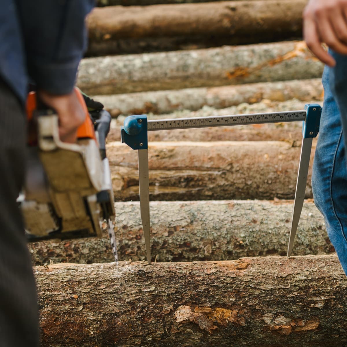 <p data-block-key="44ke4">Ammattilainen tuntee puutavaran erot ja valitsee oikean materiaalin käyttökohteen mukaan – tieto auttaa myös harrastajaa tekemään parempia valintoja. (Kuva: Envato)</p>