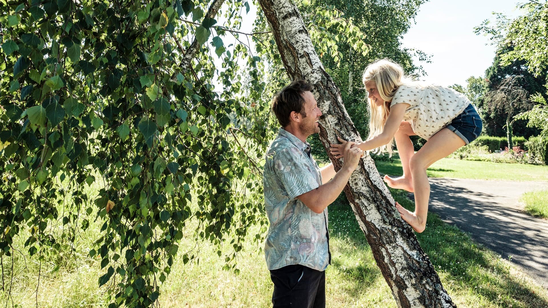 Piha kuntoon OSA 1/6: Katse puihin ‒ miltä pihasi puut näyttävät?