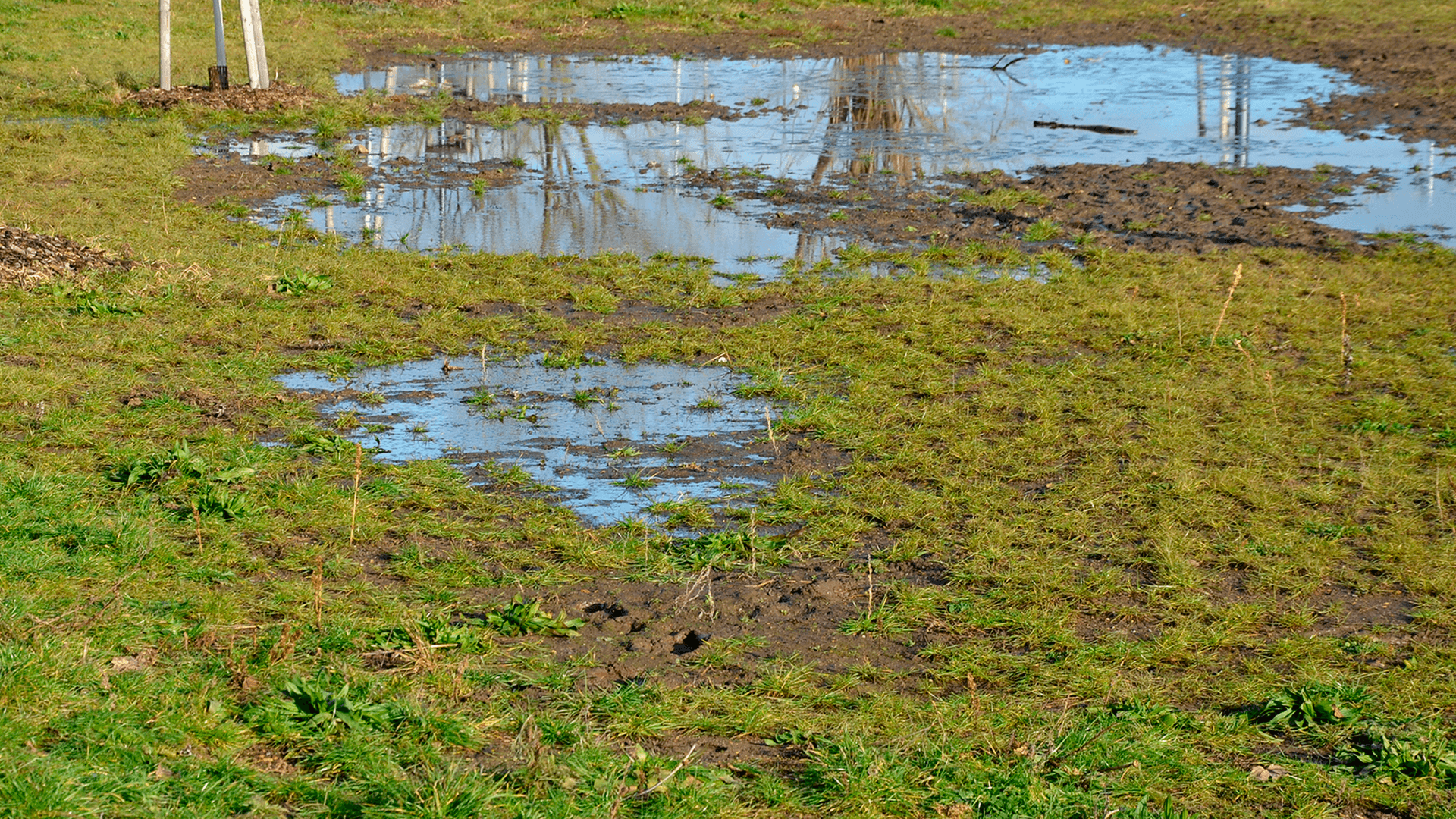 <p data-block-key="cjgvs">Salaojakaivon tarkistus keväällä kertoo, toimiiko järjestelmä. Veden pinta ei saa olla salaojaputken alareunaa korkeammalla. (Kuva Adobe Stock)</p>
