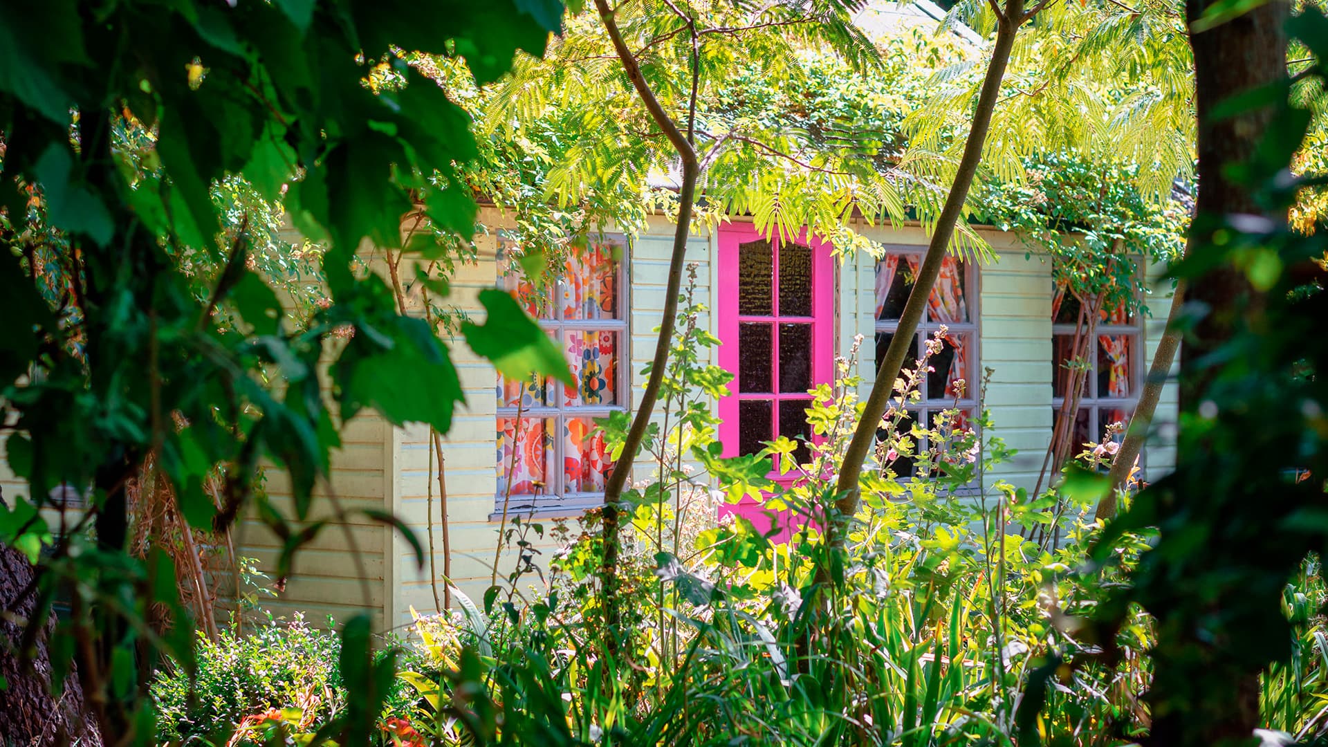 pieni leikkimökki puskien keskellä