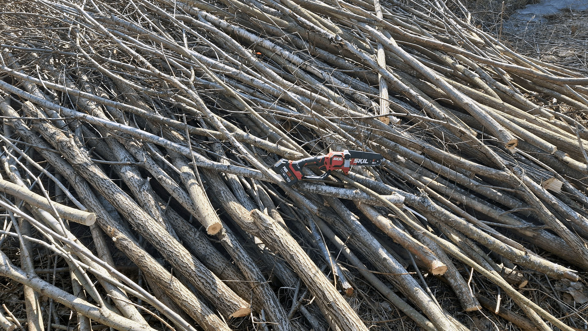 Arvaa ja voita SKIL-akkuoksasaha! Montako puuta kaatui yhdellä 4 Ah akulla?