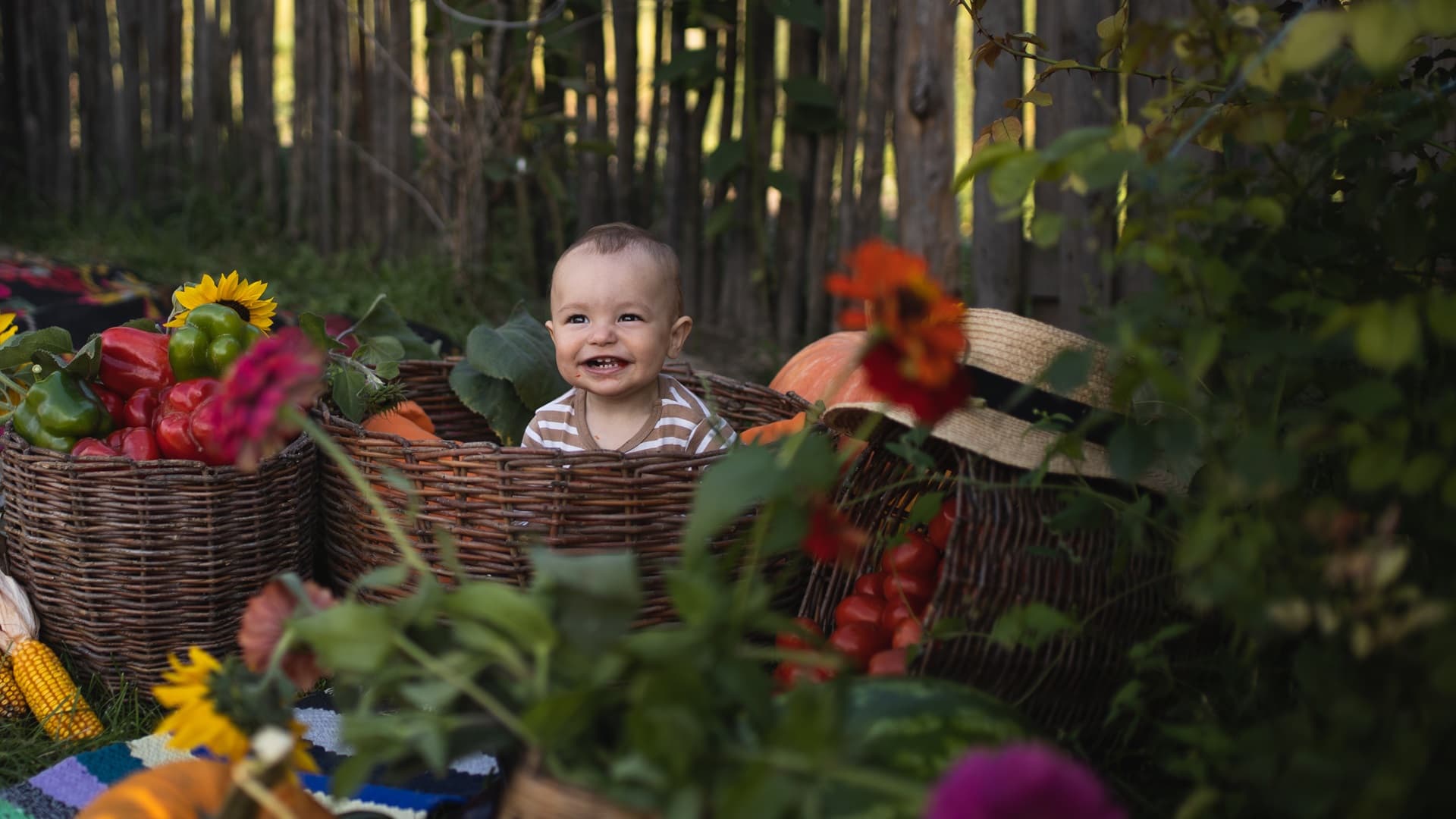 Miten lämmin syksy vaikuttaa kasveihin ja eläimiin?