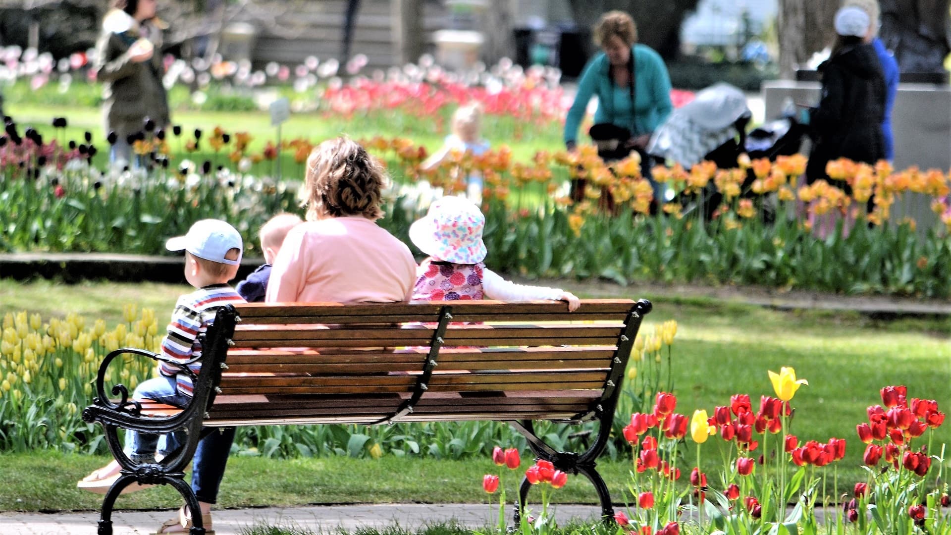 Kasvupaikka vaikuttaa kasvien valintaan