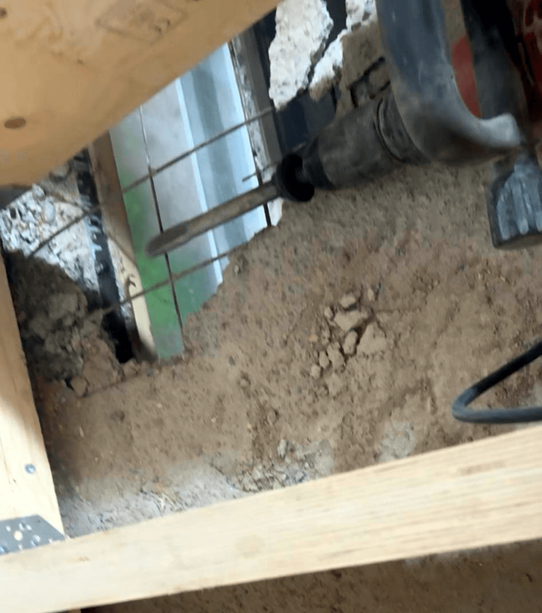 <p data-block-key="qu8b1">Kukkuu! (Kuva Vilja Schepel)</p>