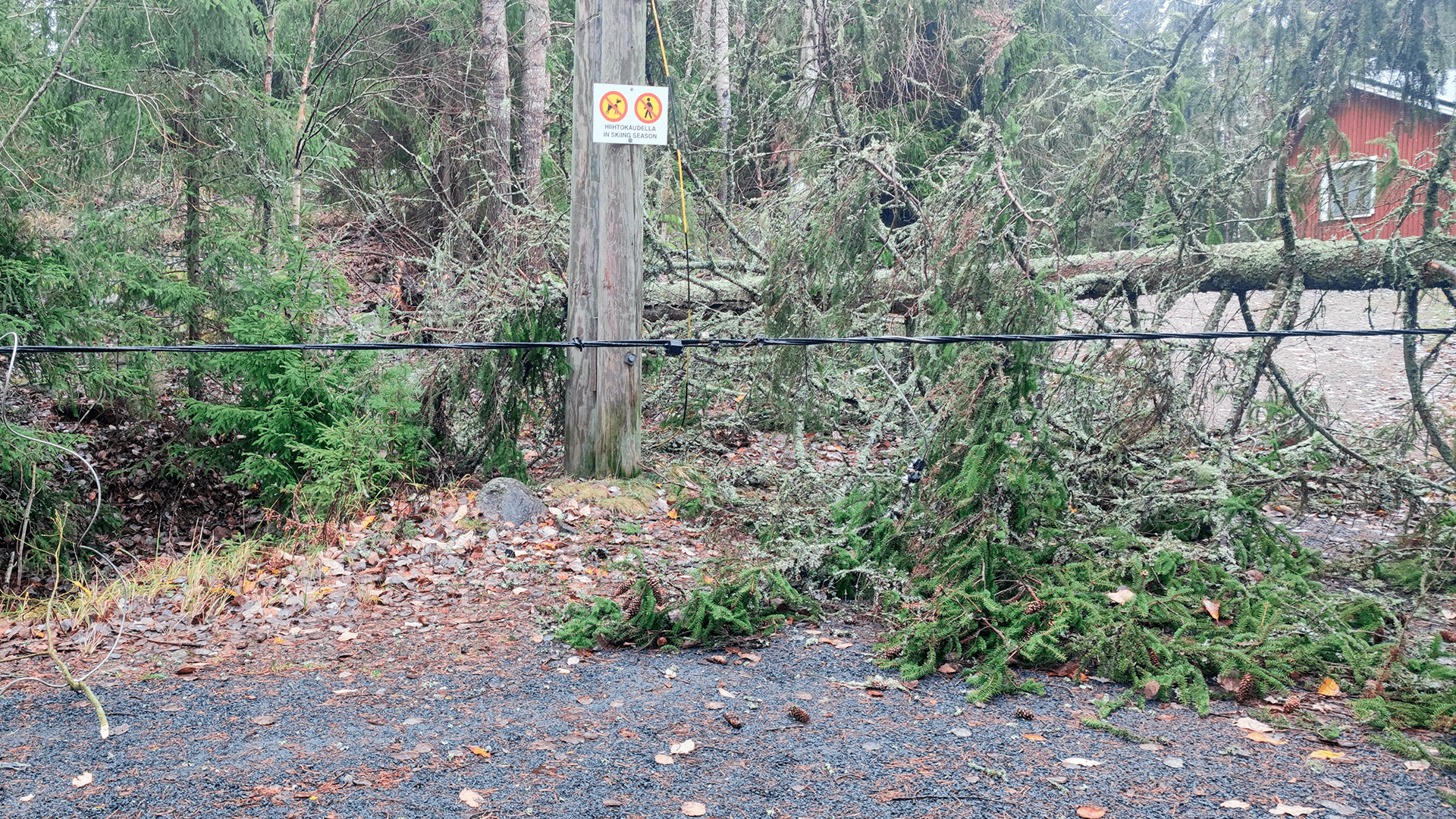 <p data-block-key="14e7t">Jos myrsky on kaatanut puun sähkölinjan päälle ja johto roikkuu tai on vaurioitunut, pidä etäisyyttä ja ilmoita tilanteesta sähköverkkoyhtiölle. (Kuva Sari Nieminen)</p>