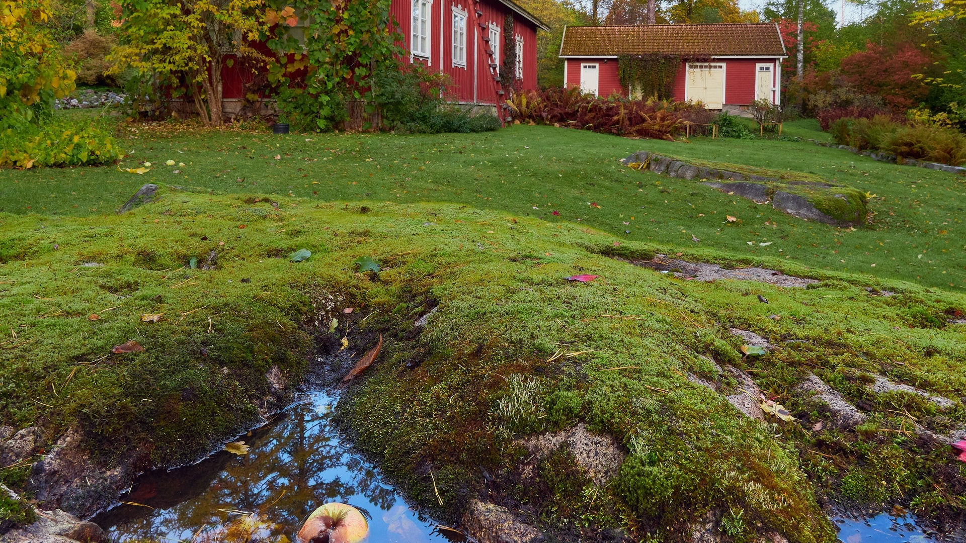 old-autumn-garden-in-aulanko-nature-reserve-2025-01-08-11-34-52-utc.jpg