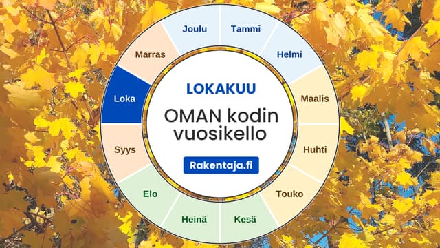Oman kodin vuosikello, lokakuu korostettuna sinisellä. Rakentaja.fi:n 12 kuukauden kodin huoltokello syksyn keltaisten vaahteranlehtien päällä.