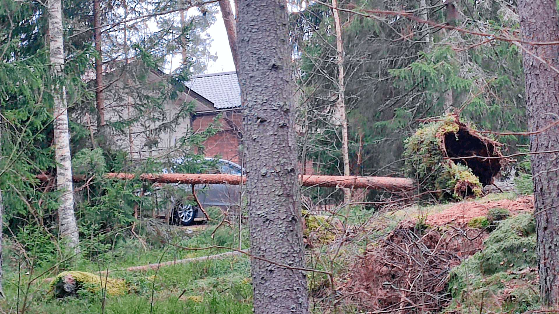 <p data-block-key="5ymdy">Dokumentoi myrskyvahinko heti: yleiskuvat, lähikuvat ja ajankohta helpottavat korjausten suunnittelua ja vakuutusasioiden käsittelyä. (Kuva Sari Nieminen)</p>