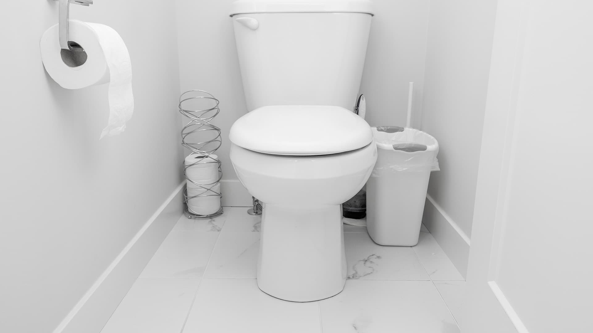 <p data-block-key="jxj5l">Sokeritoukka havaitaan usein wc-tiloissa, joissa kosteus ja lämpö tarjoavat otolliset olosuhteet piileskelyyn lattialistojen ja viemärien läheisyydessä.</p>