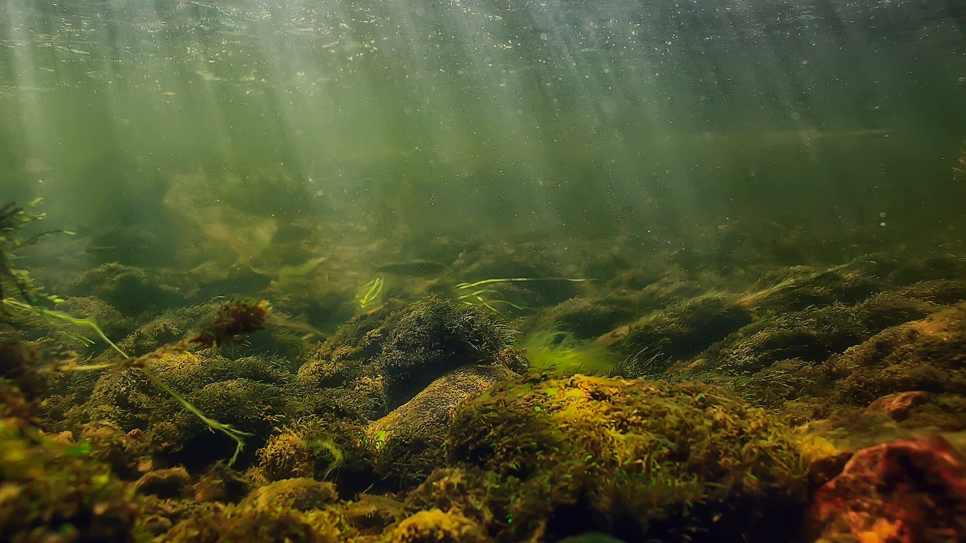 <p data-block-key="xgtwc">Veden syvyys, suodattuva valo ja suomalaisen järven vihreänruskeat sävyt antoivat lähtökohdan Underwater Suiten värien ja materiaalien suunnittelulle.</p>
