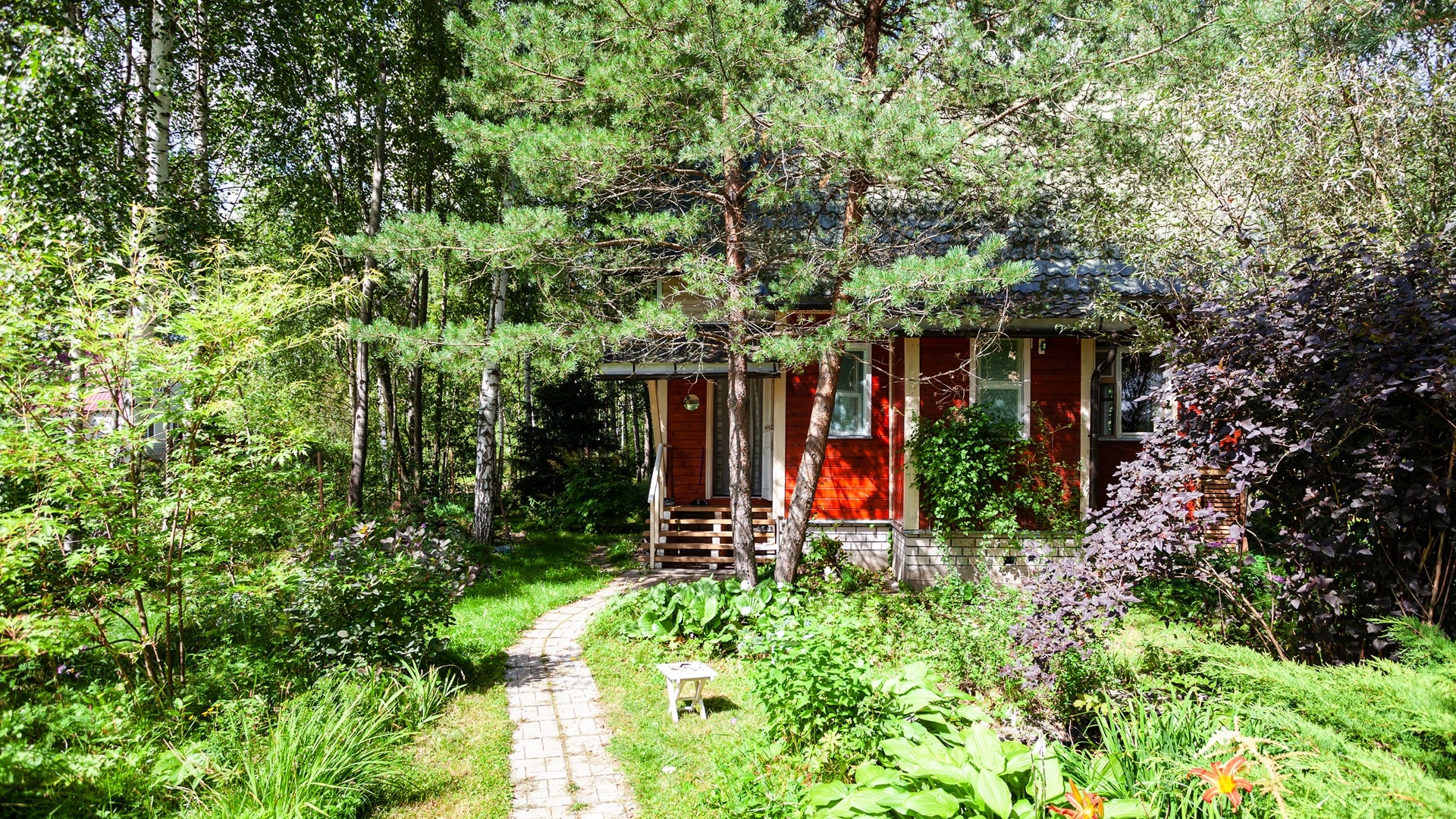 wood-country-house-in-overgrown-ornamental-garden-2024-10-13-12-04-10-utc.jpg